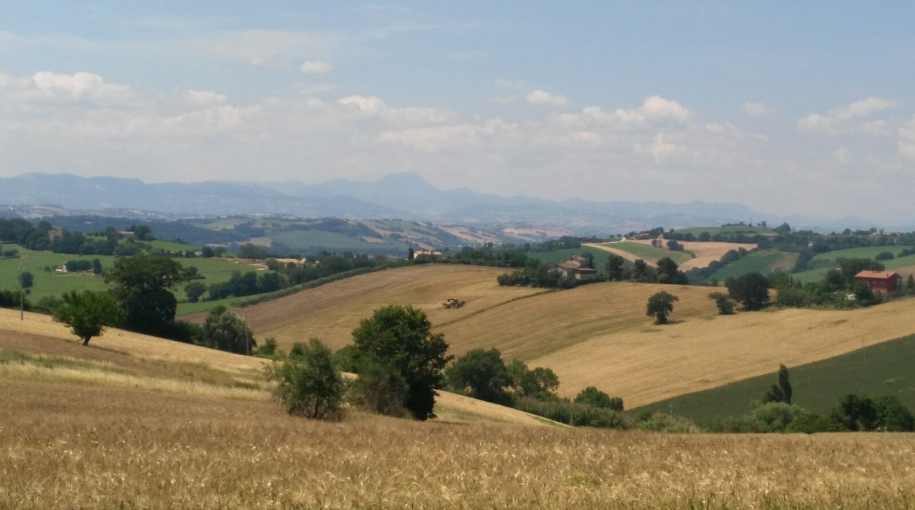 Imprenditorialità marchigiana. La strada verso la rinascita industriale